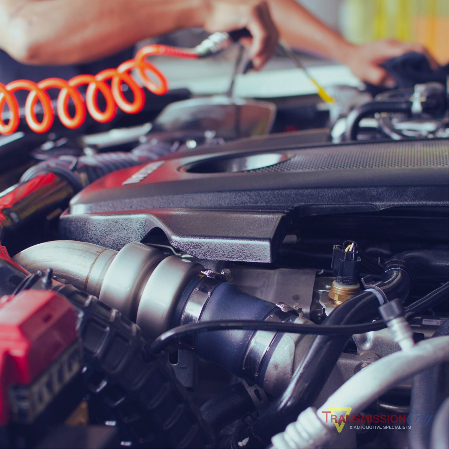 Preventative Maintenance Services for Cars & Trucks in Sandy, Utah